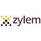 AI automation company in landan